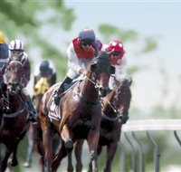 Colac Turf Club - Accommodation Brunswick Heads