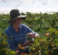 Kingsdale Wines - Accommodation Brunswick Heads