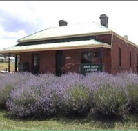 Lavender House in Railway Park - Accommodation Brunswick Heads