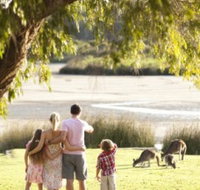 Yanchep National Park - Bushwalking Trails - Accommodation Brunswick Heads