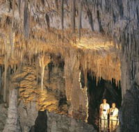 Mammoth Cave - Accommodation Brunswick Heads