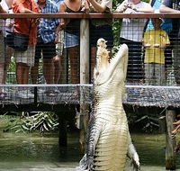 Hartley's Crocodile Adventures - Accommodation Brunswick Heads