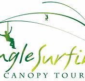 Jungle Surfing Canopy Tours and Jungle Adventures Nightwalks - Accommodation Brunswick Heads