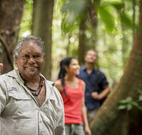 Mossman Gorge Centre - Accommodation Brunswick Heads