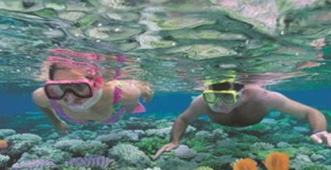 Quicksilver Cruises - Accommodation Brunswick Heads 2