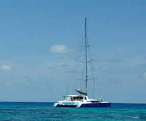 Synergy Reef Sailing - Accommodation Brunswick Heads 5
