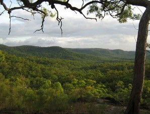 Cooktown Aboriginal Art Tours - Accommodation Brunswick Heads 1