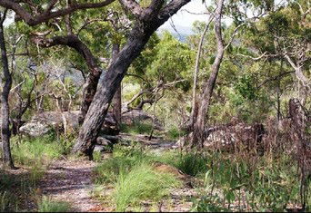 Cooktown Aboriginal Art Tours - Accommodation Brunswick Heads 2