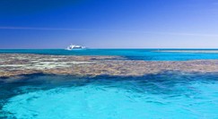 Reef Jet Cruises - Accommodation Brunswick Heads 0