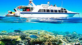 Reef Jet Cruises - Accommodation Brunswick Heads 2