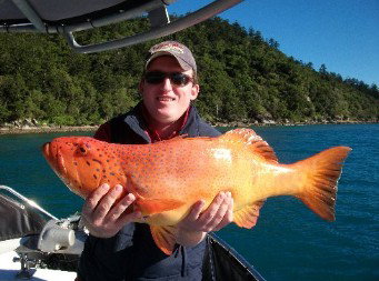 Gone Fishing By Coral Sea Fishing Charters Airlie Beach - Accommodation Brunswick Heads 0