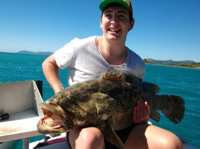 Gone Fishing By Coral Sea Fishing Charters Airlie Beach - Accommodation Brunswick Heads 4