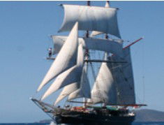 Adventure Catamarans Dive And Sail - Accommodation Brunswick Heads 0