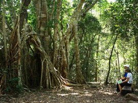 The Airlie Creek Track - Accommodation Brunswick Heads 0