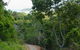 The Airlie Creek Track - thumb 1