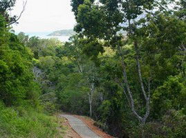 The Airlie Creek Track - Accommodation Brunswick Heads 1
