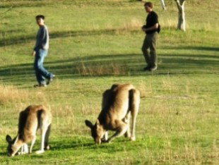 Southern Queensland Country QLD Accommodation Brunswick Heads