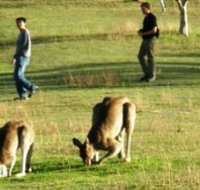 Araucaria Ecotours - Accommodation Brunswick Heads
