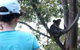 Araucaria Ecotours - thumb 1