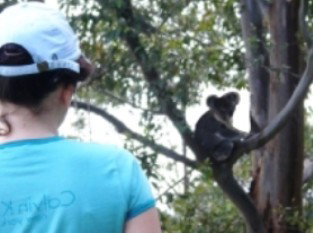 Araucaria Ecotours - Accommodation Brunswick Heads 1