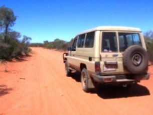 Araucaria Ecotours - Accommodation Brunswick Heads 2