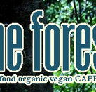 Forest Cafe  Bar - Accommodation Brunswick Heads