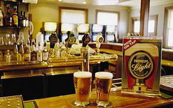 Regatta Bar - Log Cabin - Accommodation Brunswick Heads 1