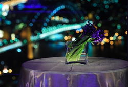 Summit - Orbit Lounge Bar - Accommodation Brunswick Heads 3