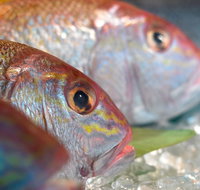 Coro Hotel - Lure Seafood Restaurant - Accommodation Brunswick Heads