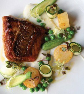 Mondo Organics Restaurant - Accommodation Brunswick Heads 5