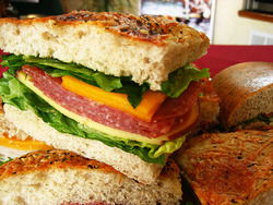 Jabiru Bar - Accommodation Brunswick Heads 3