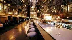 Water Bar Sydney - Accommodation Brunswick Heads 3