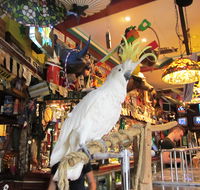 A Friend In Hand - Accommodation Brunswick Heads