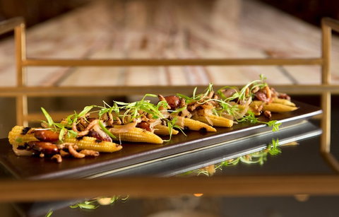 Bacchus Restaurant - Accommodation Brunswick Heads 0