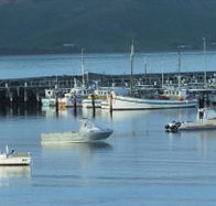 The Apollo Bay Hotel - Accommodation Brunswick Heads