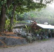 Ellis Beach Bar  Grill - Accommodation Brunswick Heads