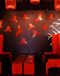 Soho Bar And Lounge - Accommodation Brunswick Heads 0