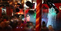 Pheonix Bar - Accommodation Brunswick Heads 0