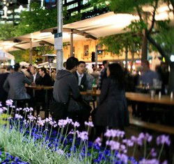 Quay Bar - Accommodation Brunswick Heads 0