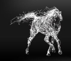 The White Horse - Accommodation Brunswick Heads 0