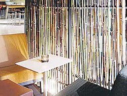 Llama Bar - Accommodation Brunswick Heads 2