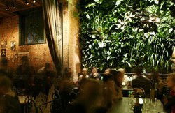 The Winery By Gazebo - Accommodation Brunswick Heads 2