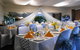 Cairns RSL Social Club Ltd - thumb 3