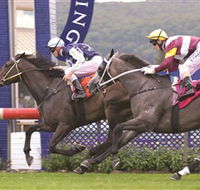 Gosford Race Club - Accommodation Brunswick Heads