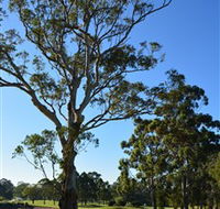 Ryde-Parramatta Golf Club - Accommodation Brunswick Heads