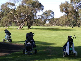 Minlaton Golf Club - Accommodation Brunswick Heads 3