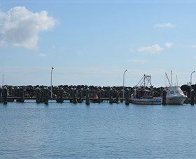 Harrington Bowling Club - Accommodation Brunswick Heads 2