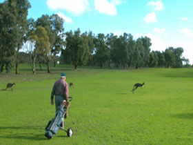 Coffin Bay Golf Club - Accommodation Brunswick Heads 0