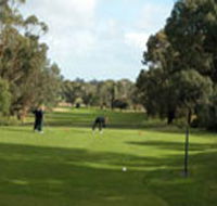 Mount Gambier Golf Club - Accommodation Brunswick Heads
