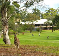 Pambula Merimbula Golf Club - Accommodation Brunswick Heads